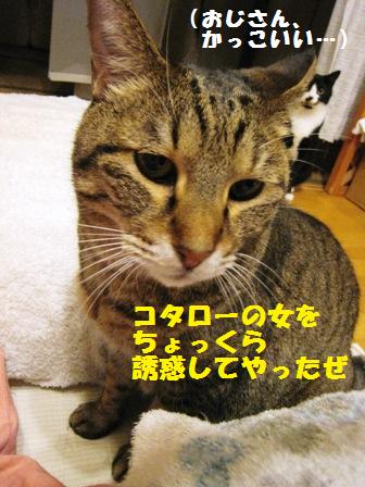 f:id:damechan65:20150103213951j:image