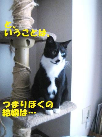 f:id:damechan65:20160321224016j:image