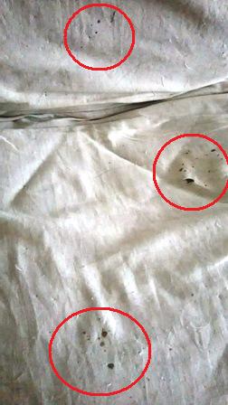 f:id:damechan65:20170530005221j:image