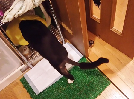 f:id:damechan65:20171007002355j:image