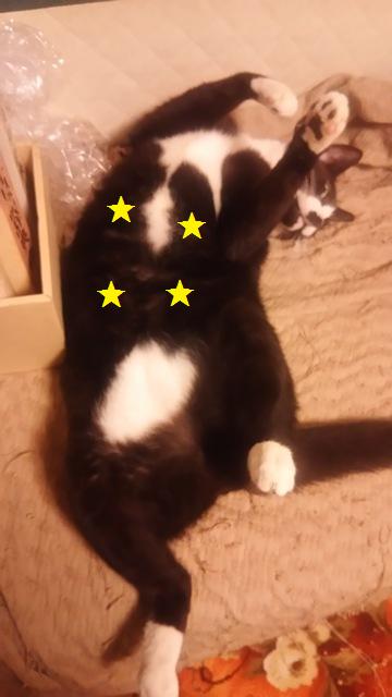 f:id:damechan65:20190930001809j:plain f:id:damechan65:20190930001809j:plain