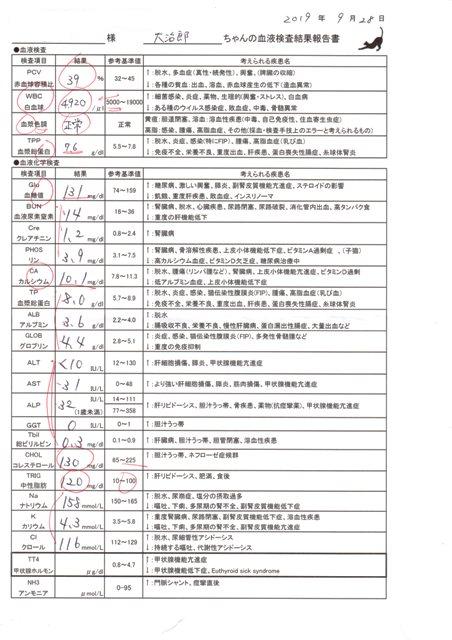 f:id:damechan65:20190930001852j:plain f:id:damechan65:20190930001852j:plain