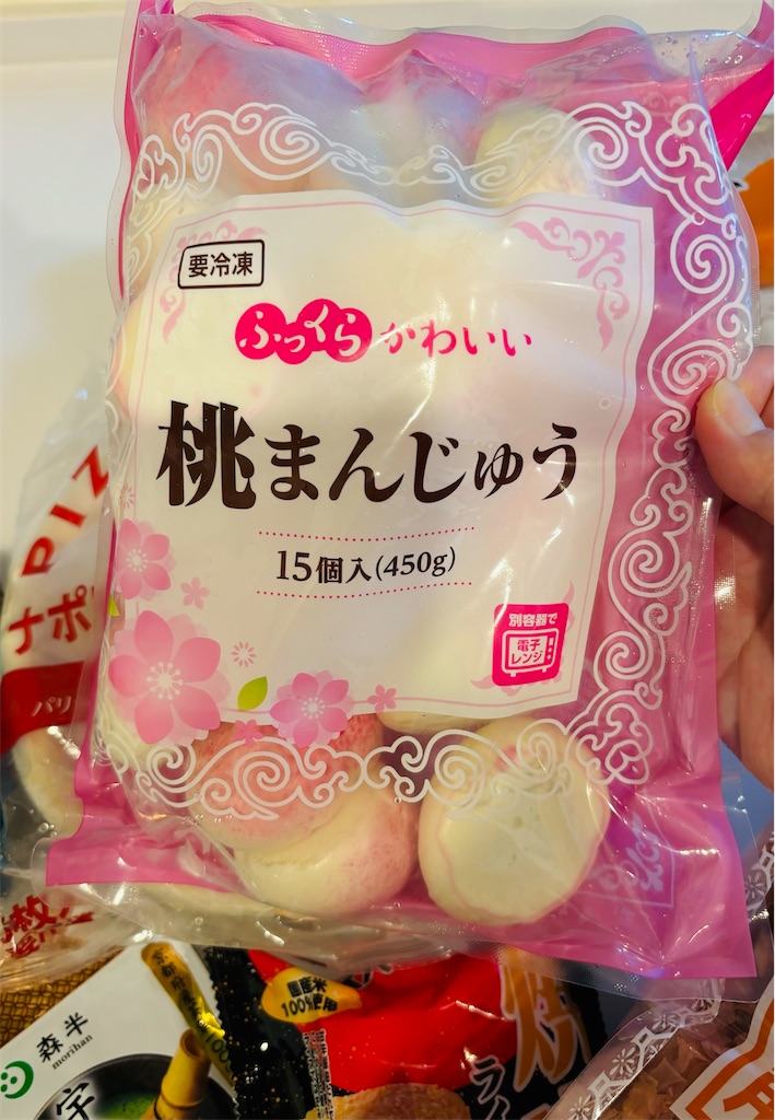 f:id:dameninngennsan:20240926002133j:image