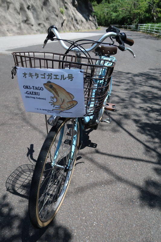 レンタサイクル