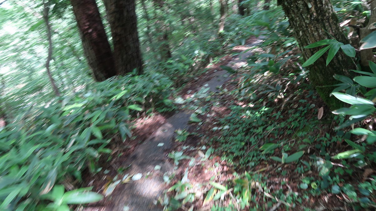 f:id:damtraveller:20200802234541j:plain