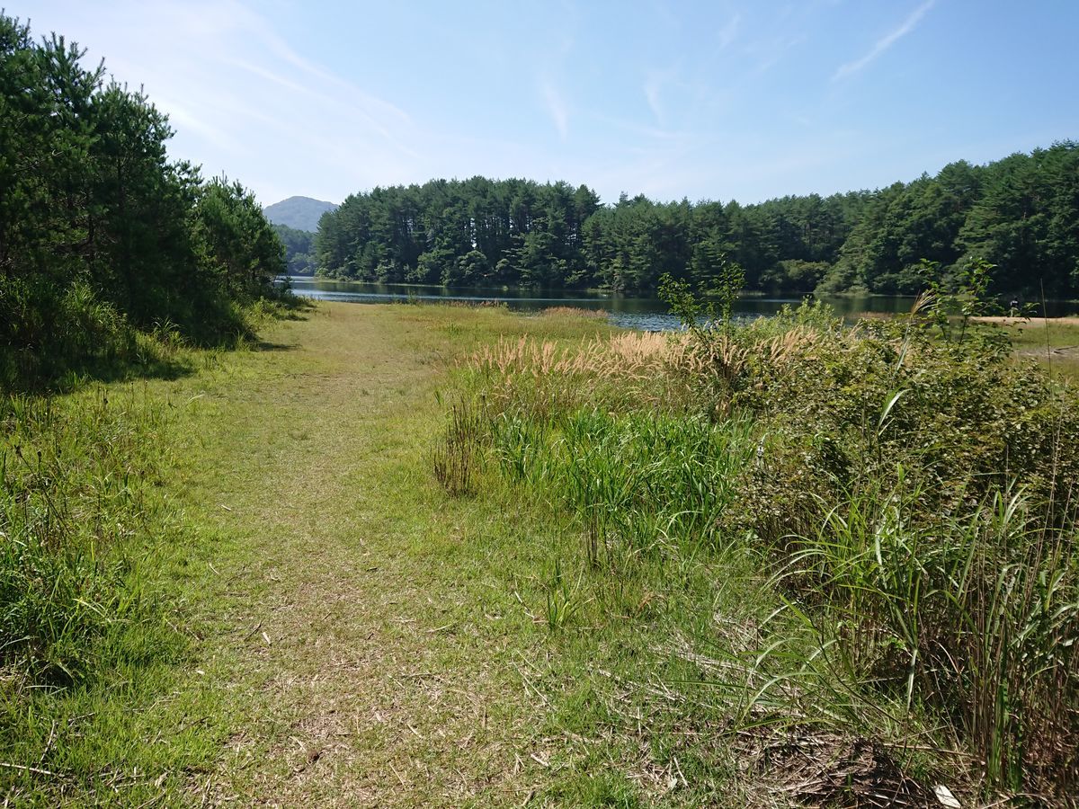 f:id:damtraveller:20200823003829j:plain