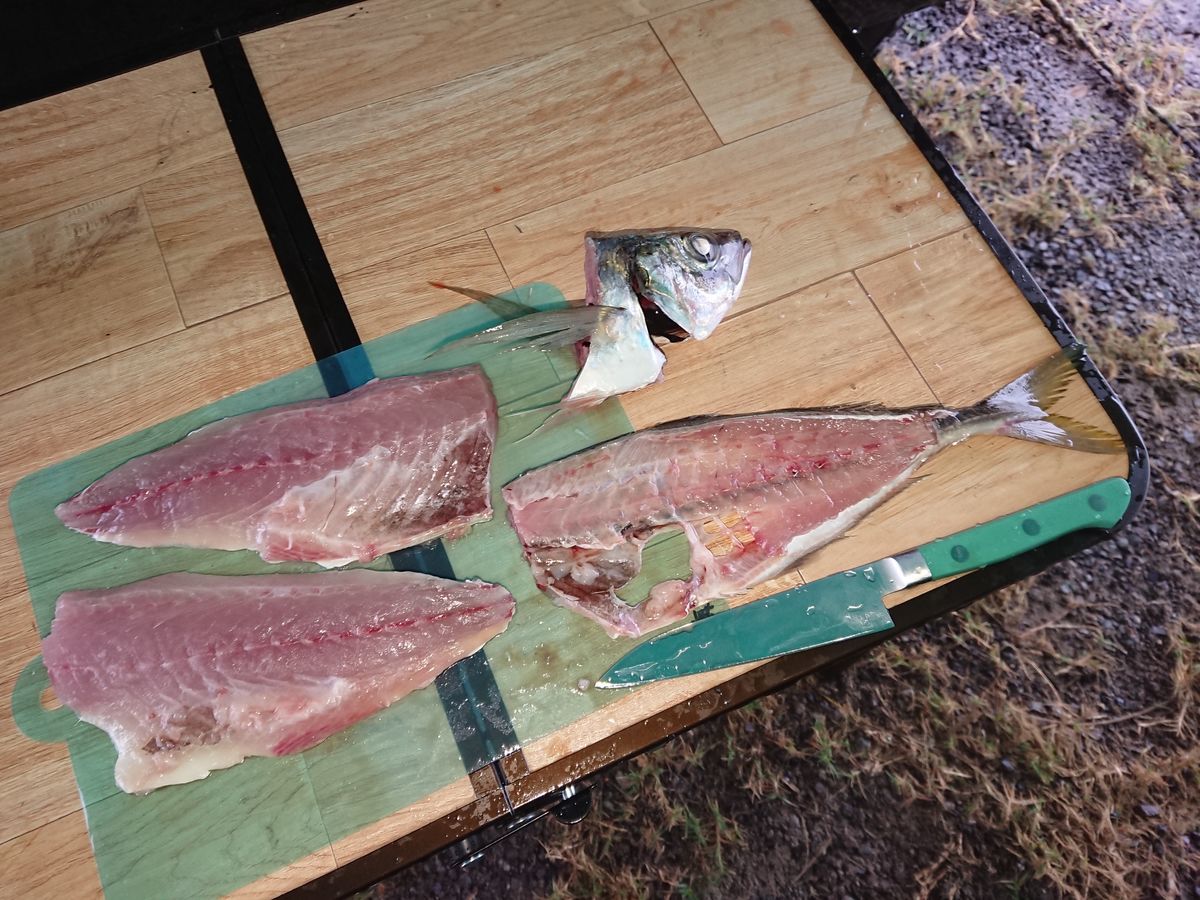 f:id:damtraveller:20200922141248j:plain