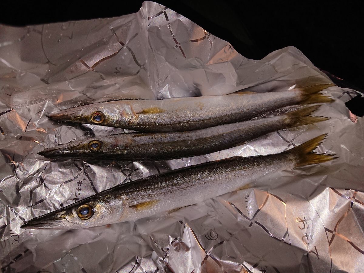 f:id:damtraveller:20200922151417j:plain