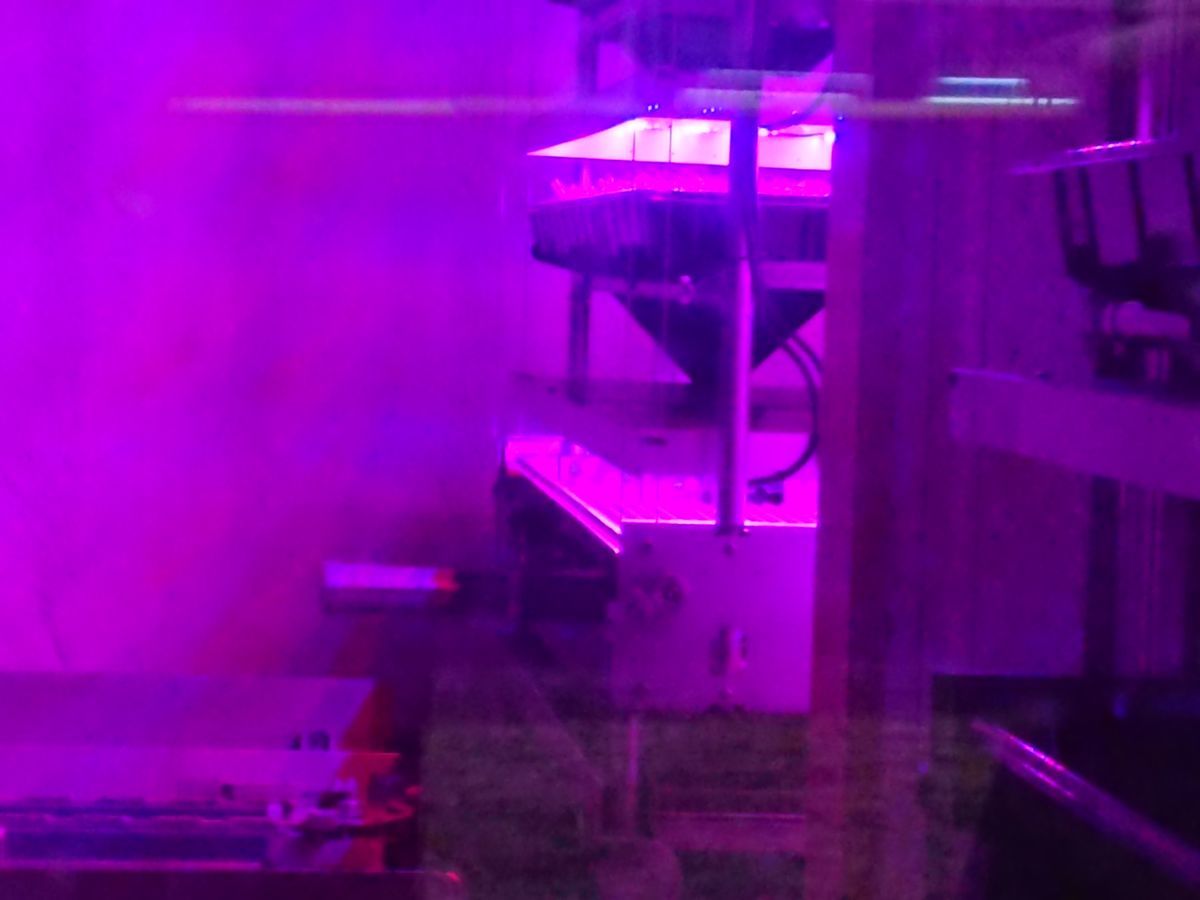 f:id:damtraveller:20201116183025j:plain