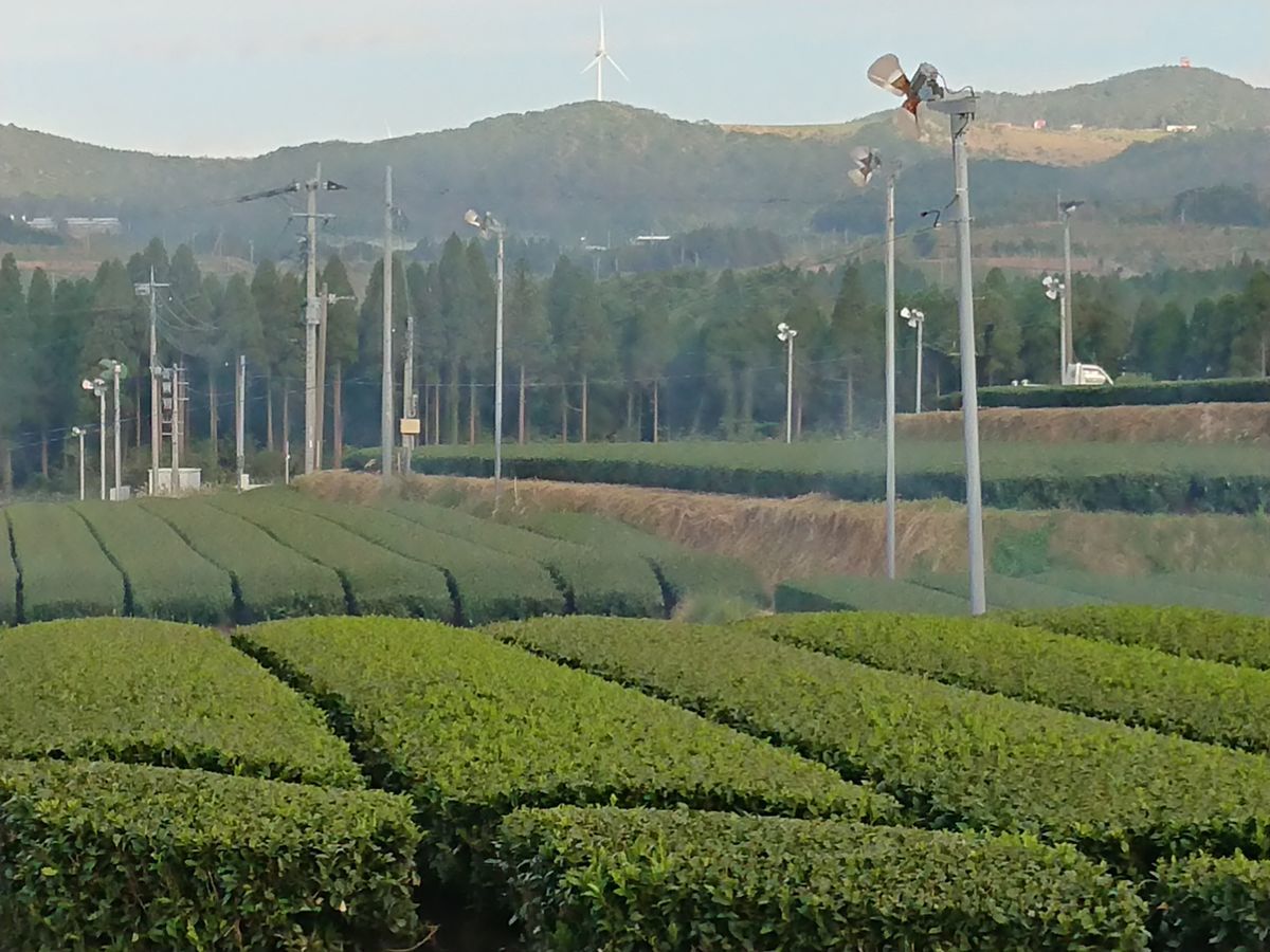 f:id:damtraveller:20201116192104j:plain