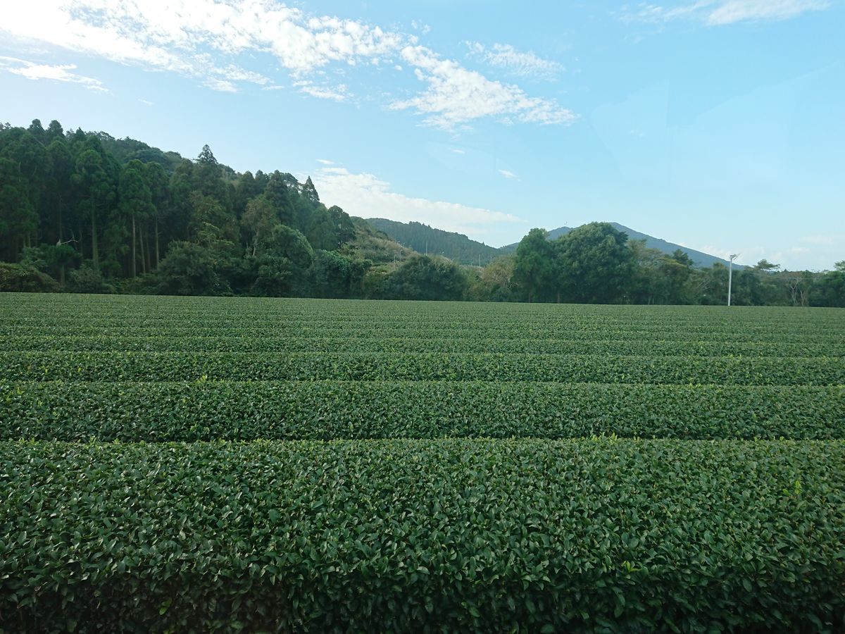 f:id:damtraveller:20201116192121j:plain