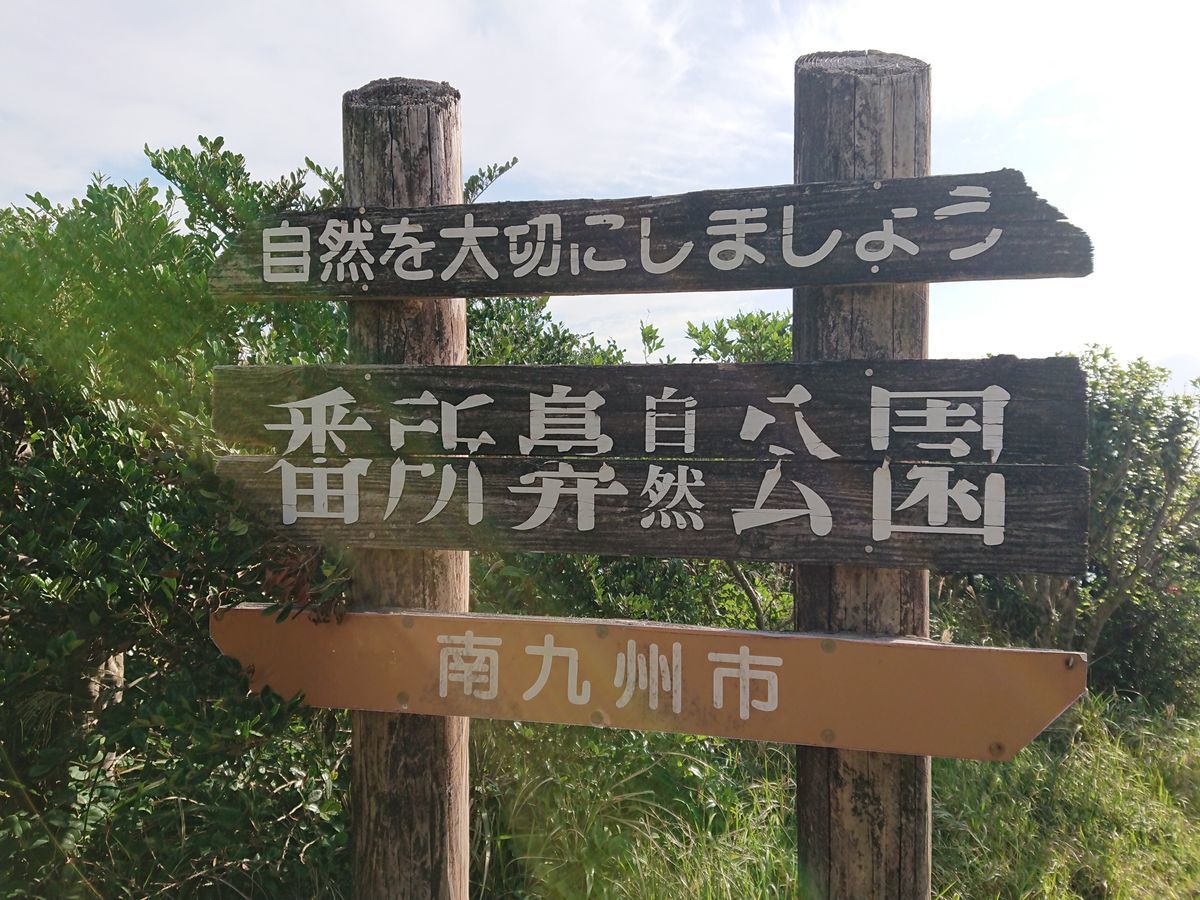 f:id:damtraveller:20201116192139j:plain