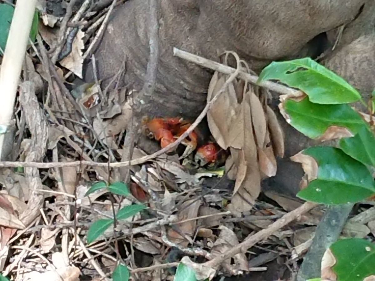 f:id:damtraveller:20201116195344j:plain