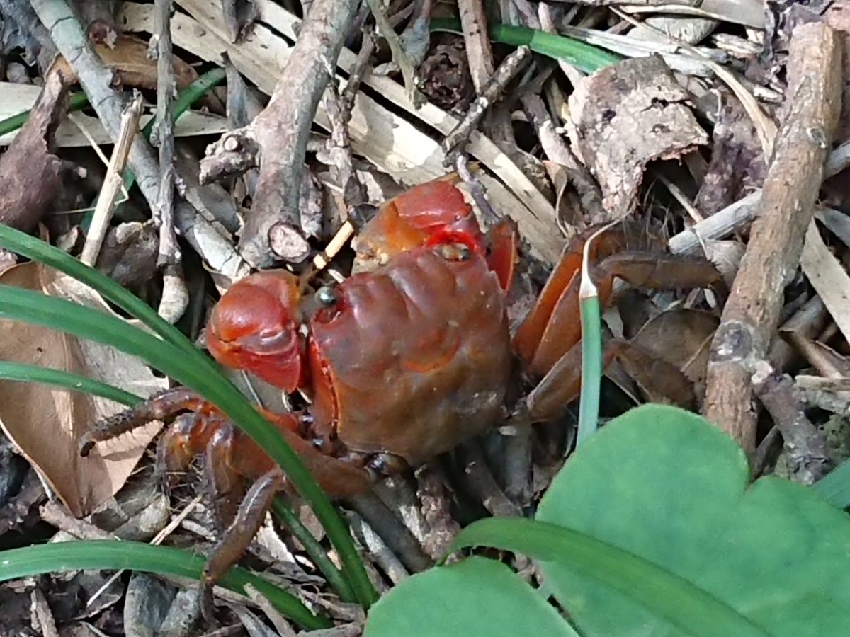 f:id:damtraveller:20201116195346j:plain