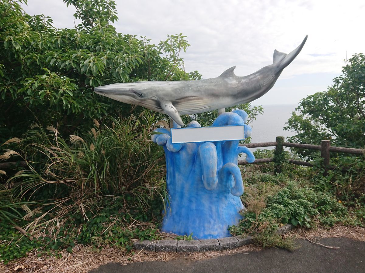 f:id:damtraveller:20201116210714j:plain