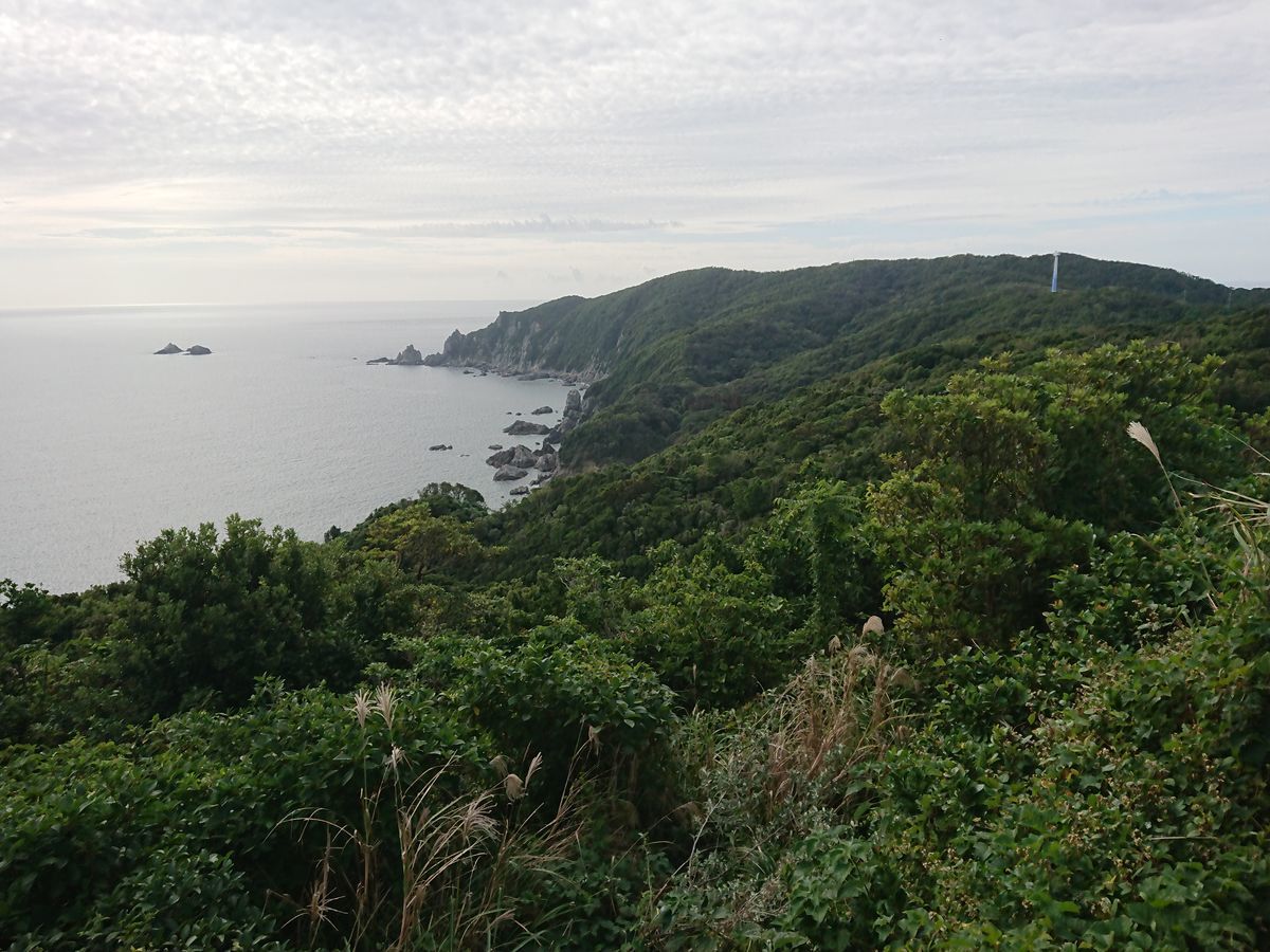 f:id:damtraveller:20201116211258j:plain