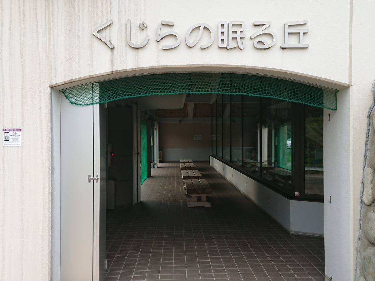 f:id:damtraveller:20201116211909j:plain