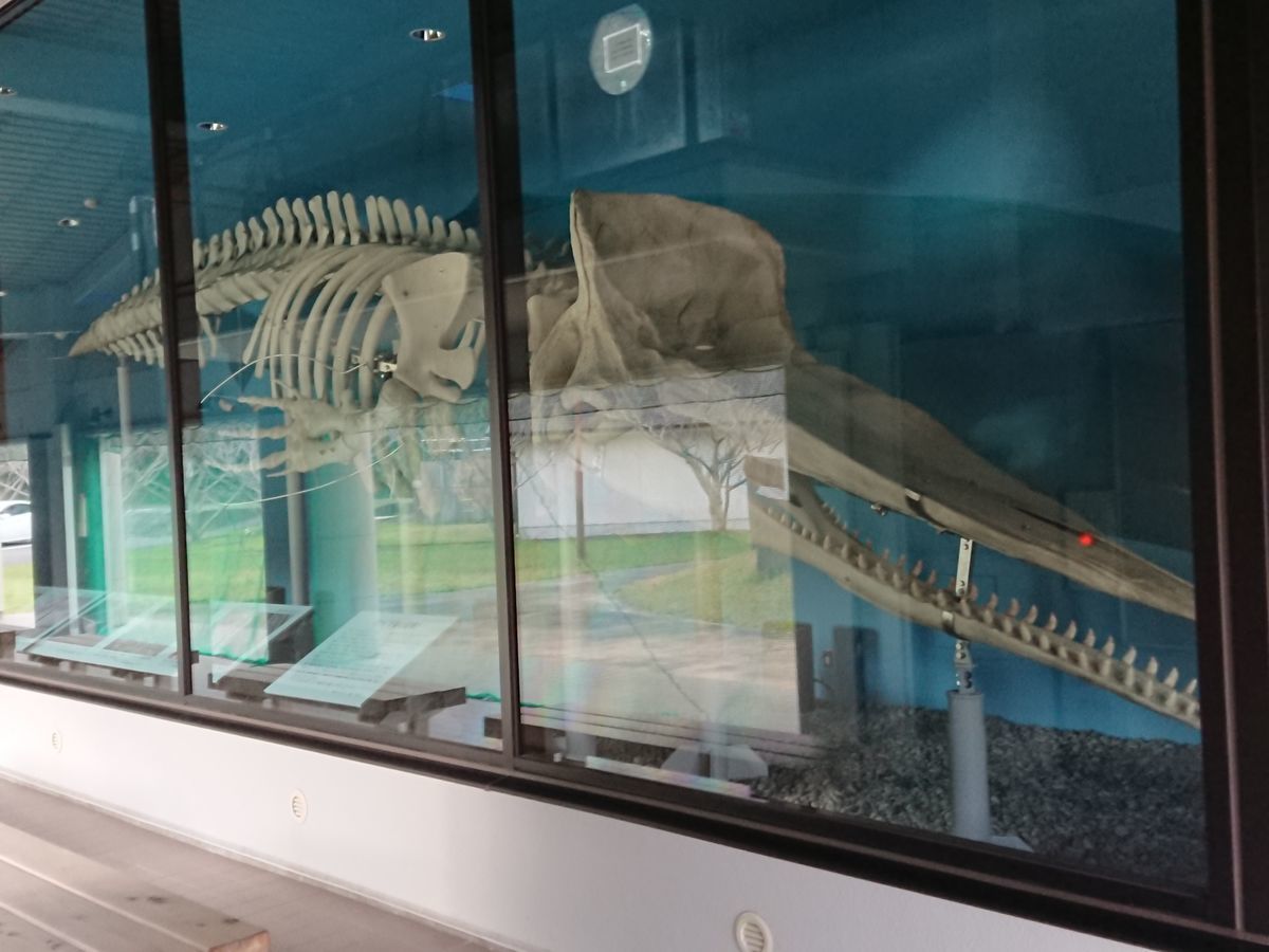 f:id:damtraveller:20201116211927j:plain