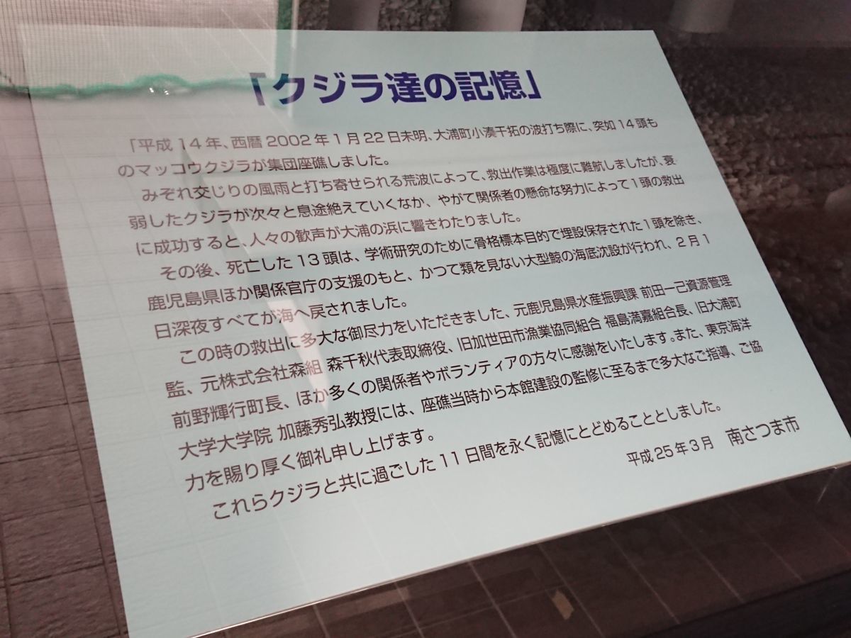 f:id:damtraveller:20201116212035j:plain