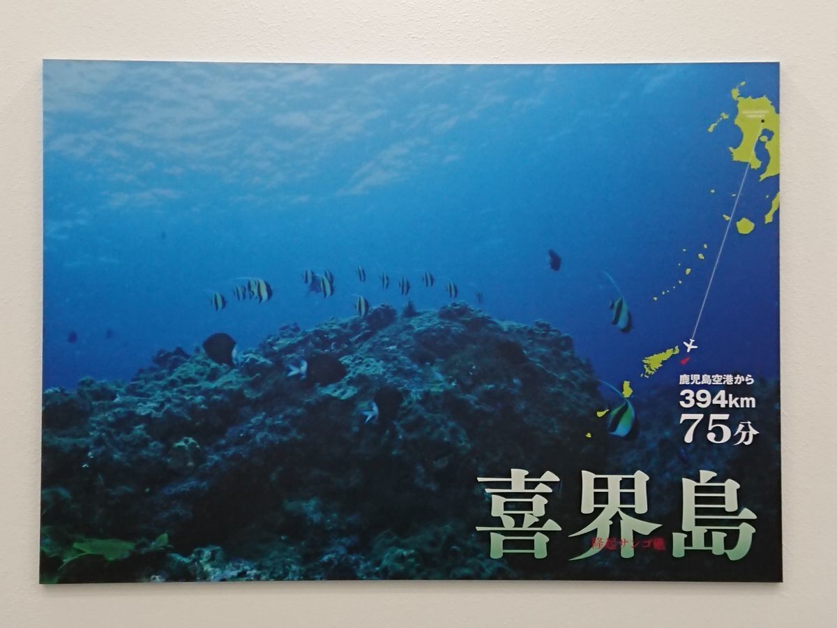 f:id:damtraveller:20201118220647j:plain