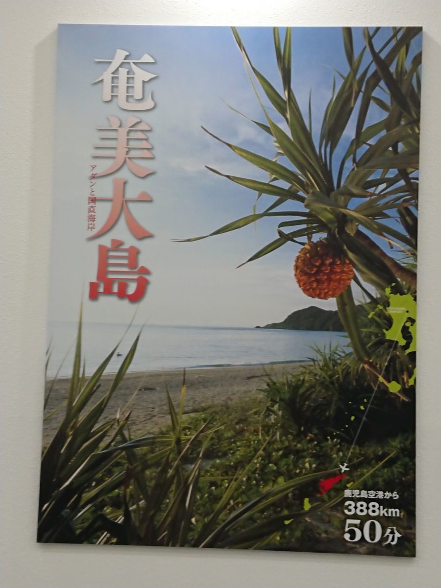 f:id:damtraveller:20201118220649j:plain