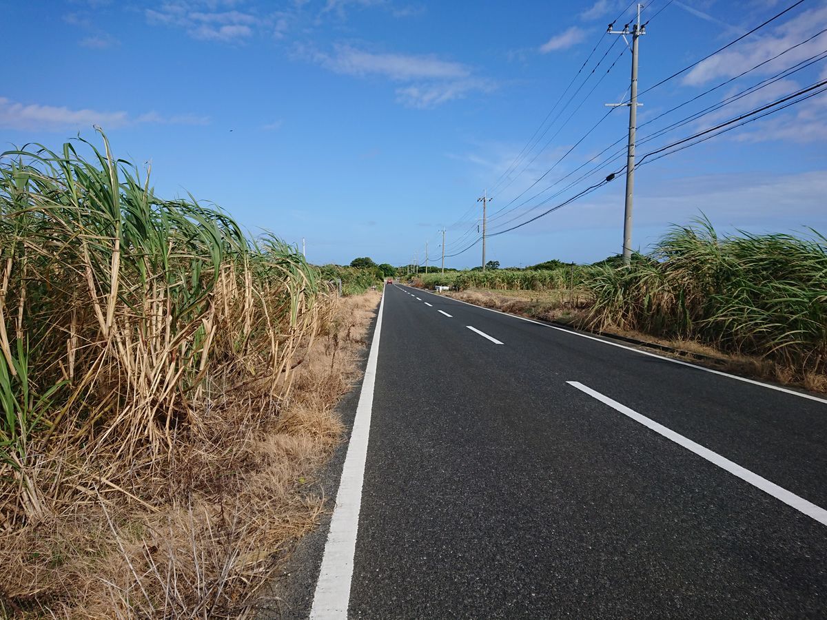 f:id:damtraveller:20201118224013j:plain