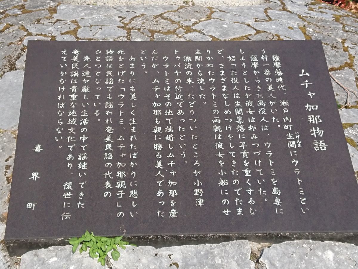 f:id:damtraveller:20201118224059j:plain