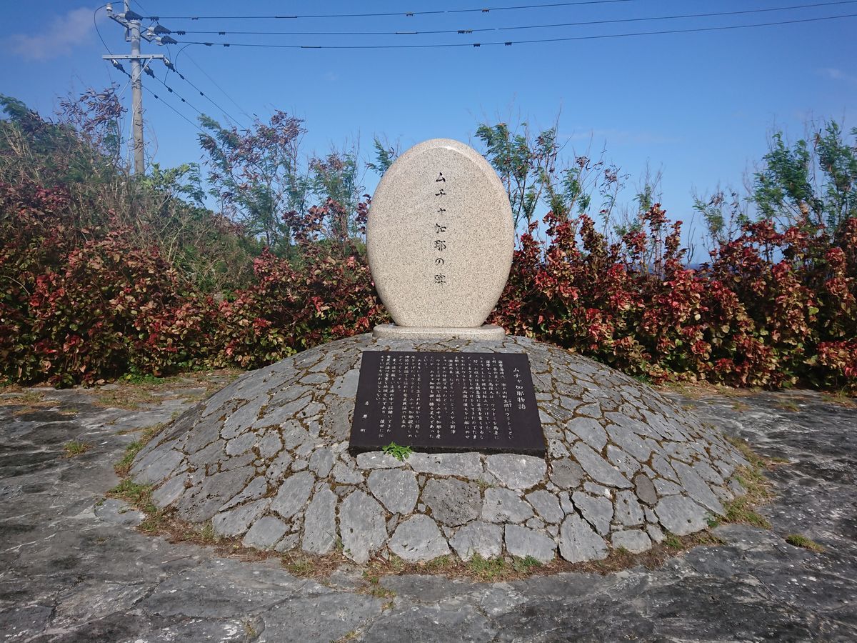 f:id:damtraveller:20201118224110j:plain