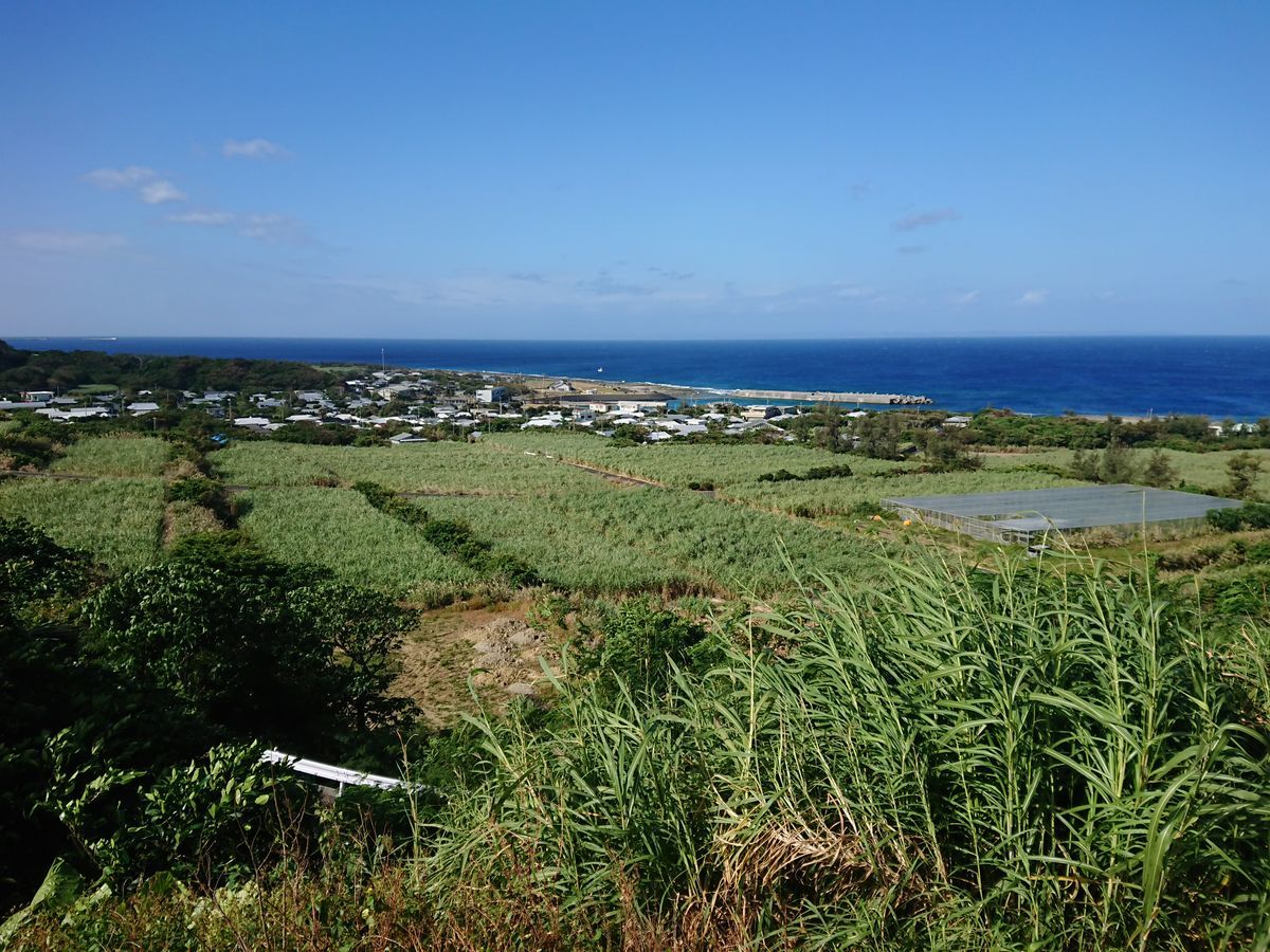 f:id:damtraveller:20201118224306j:plain