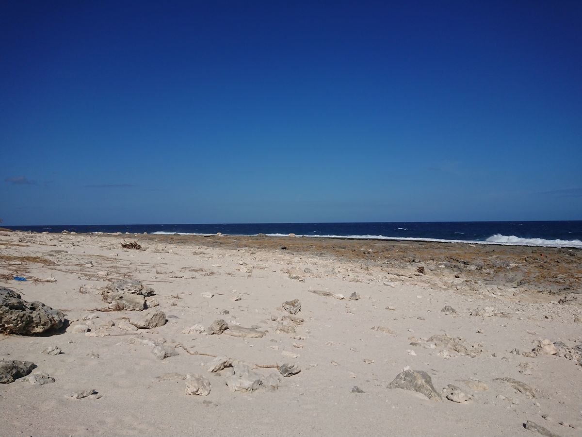 f:id:damtraveller:20201118224520j:plain