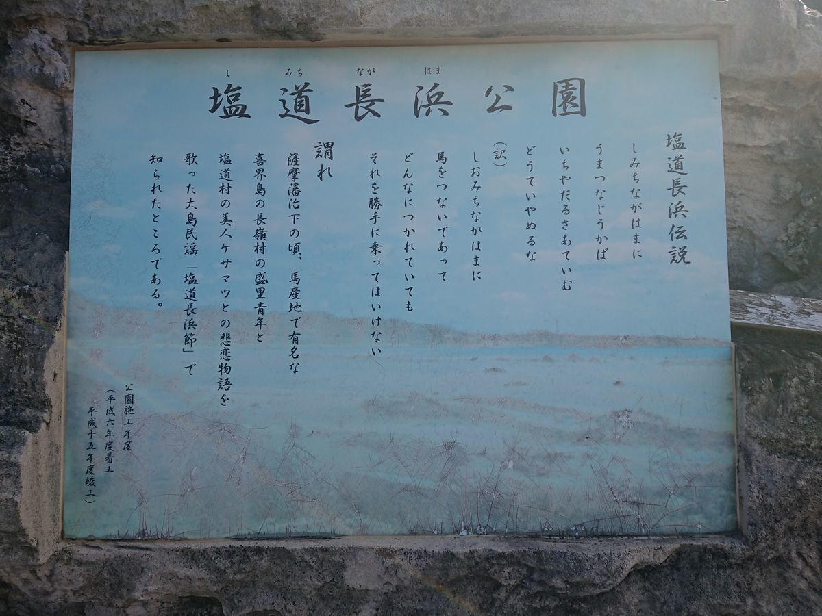 f:id:damtraveller:20201118225137j:plain