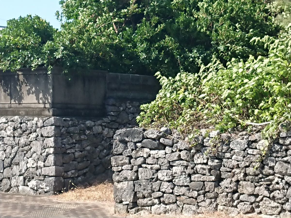 f:id:damtraveller:20201118225820j:plain