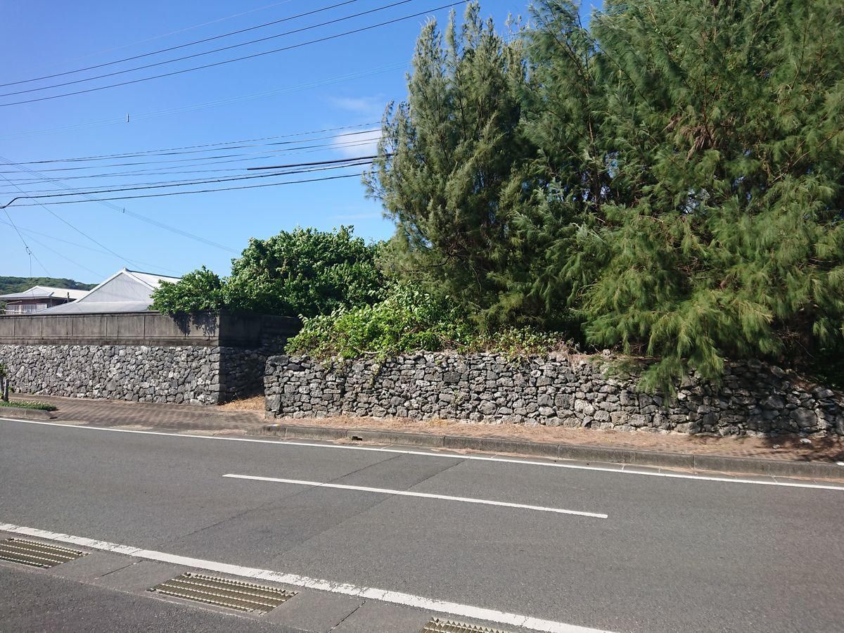 f:id:damtraveller:20201118225826j:plain