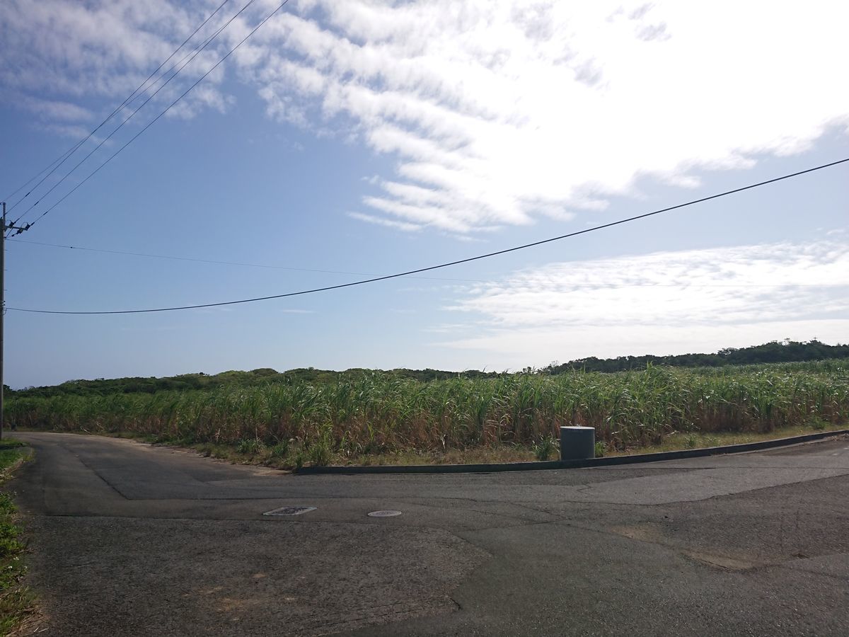 f:id:damtraveller:20201118225919j:plain