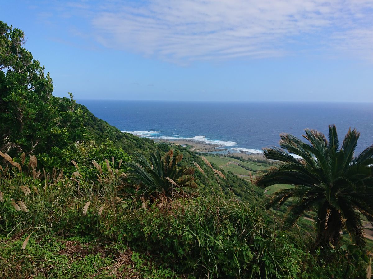 f:id:damtraveller:20201118230929j:plain