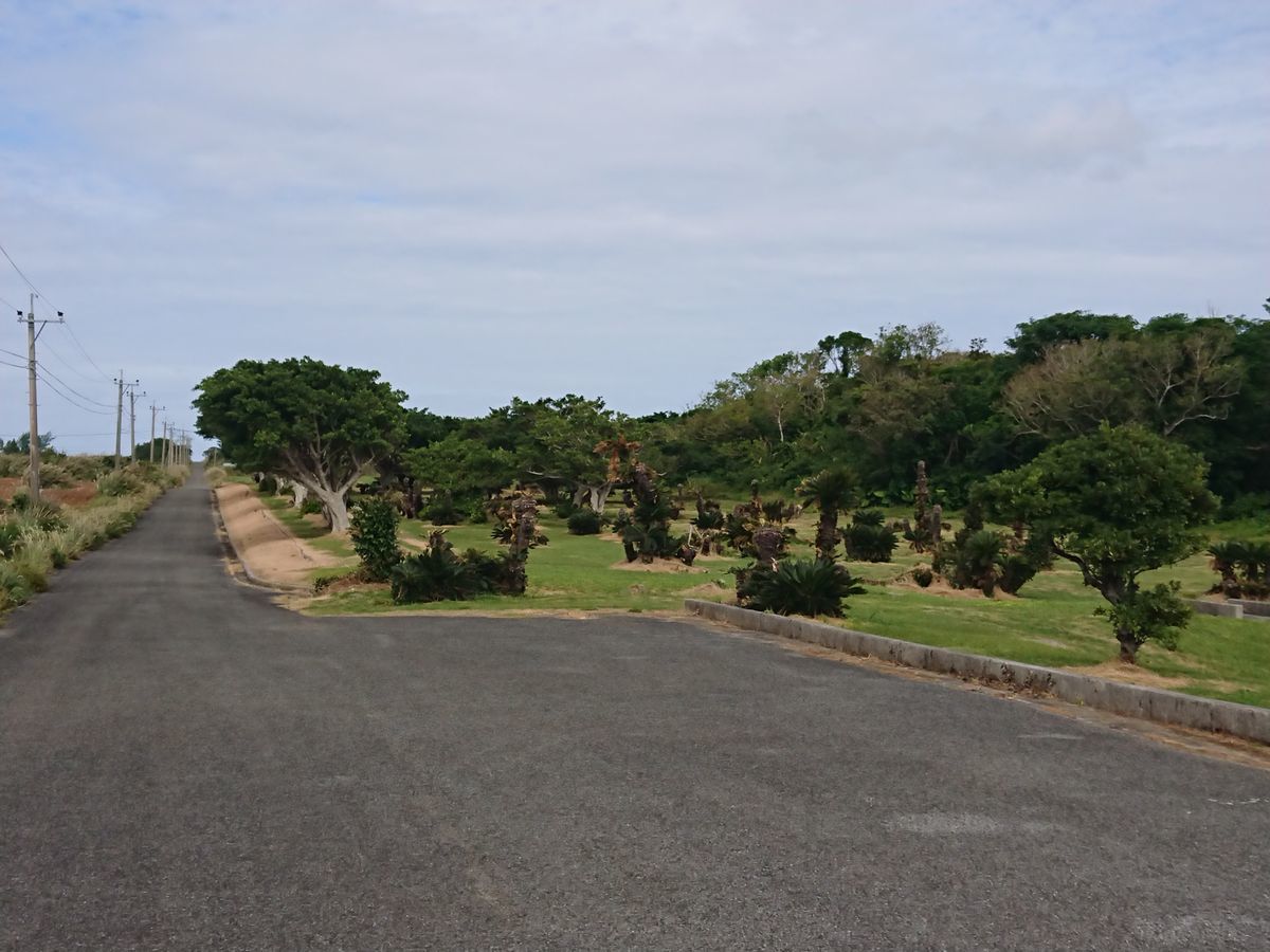 f:id:damtraveller:20201118231506j:plain