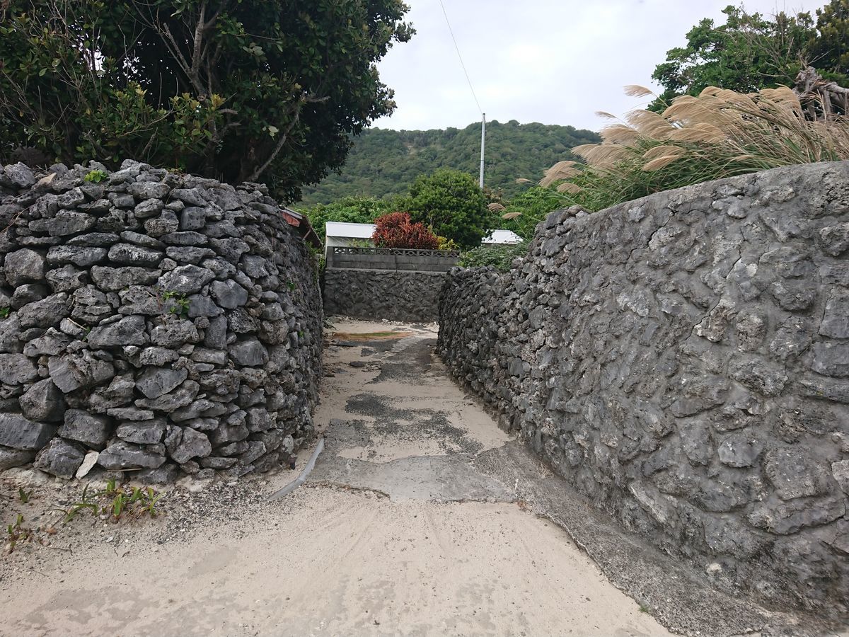 f:id:damtraveller:20201118231615j:plain