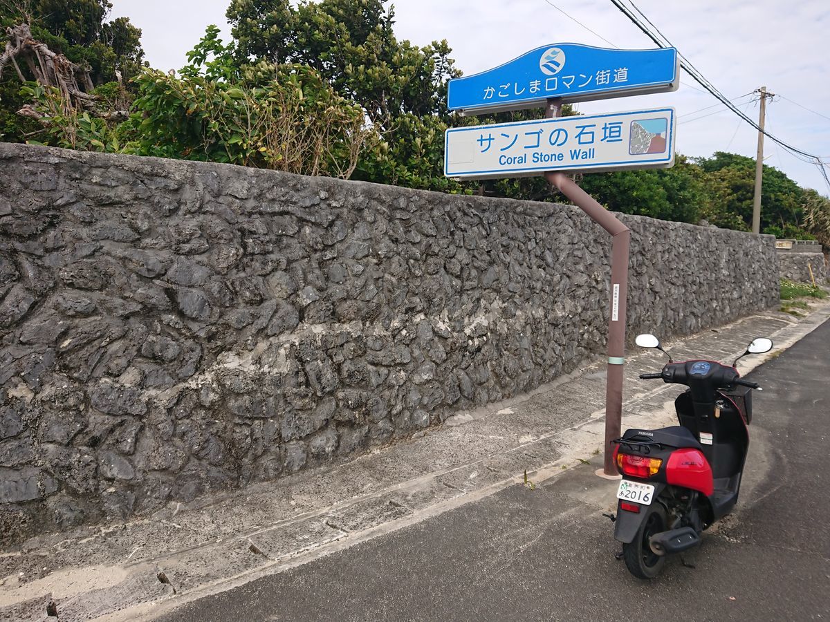 f:id:damtraveller:20201118231619j:plain