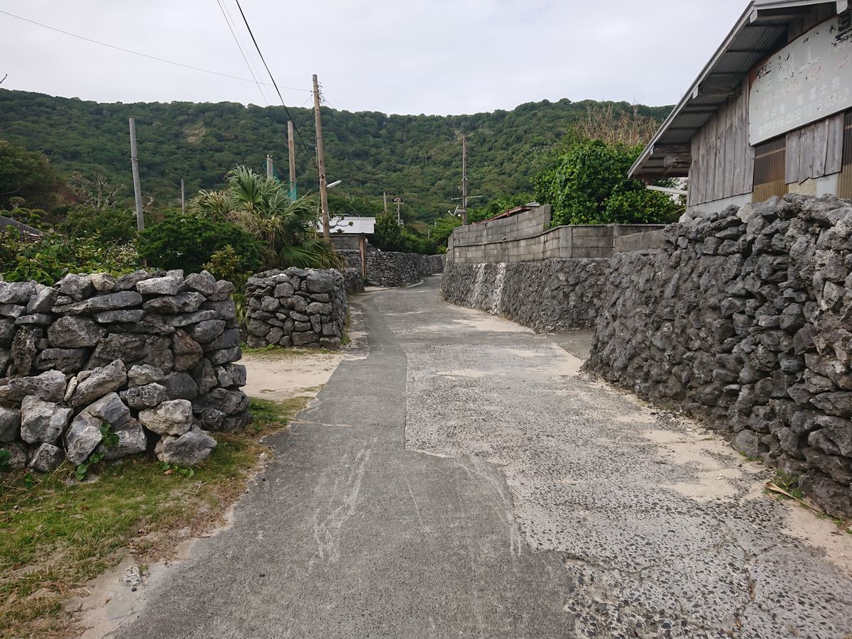 f:id:damtraveller:20201118231627j:plain