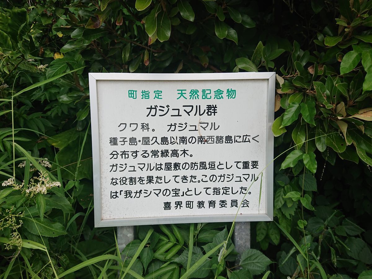 f:id:damtraveller:20201118232214j:plain