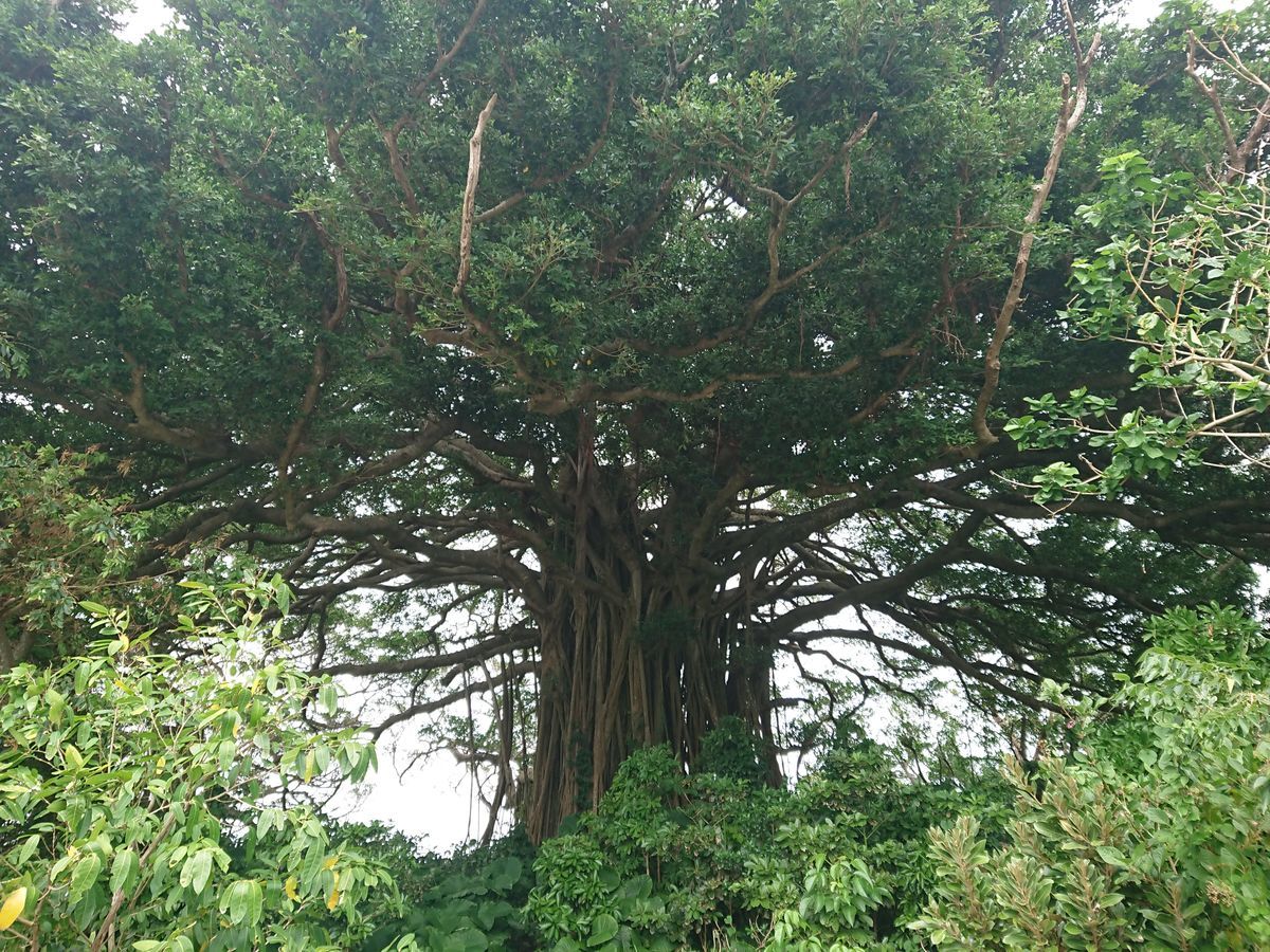 f:id:damtraveller:20201118232222j:plain