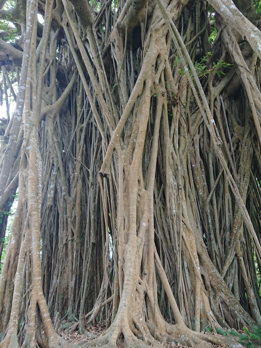 f:id:damtraveller:20201118232228j:plain