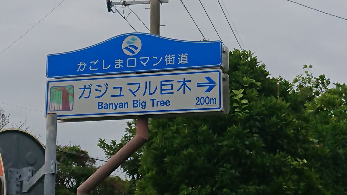 f:id:damtraveller:20201118232340j:plain