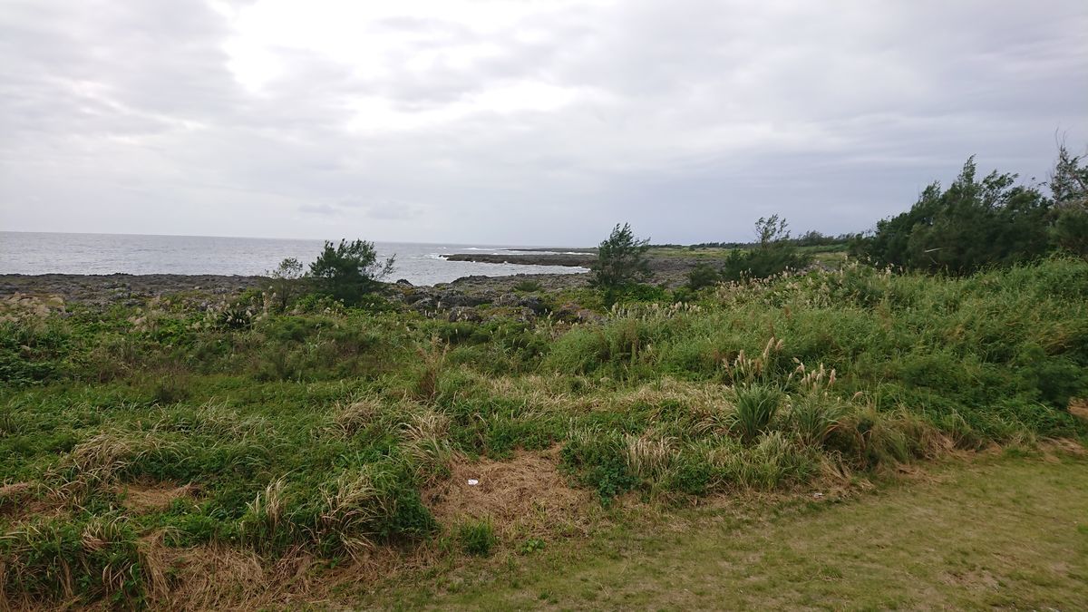 f:id:damtraveller:20201118232448j:plain