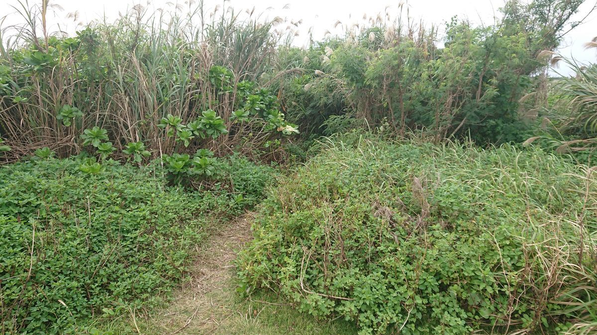 f:id:damtraveller:20201118232454j:plain