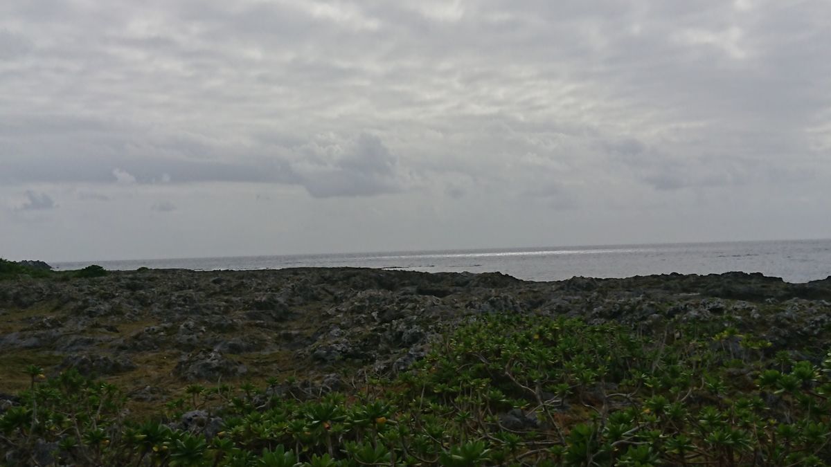 f:id:damtraveller:20201118232617j:plain