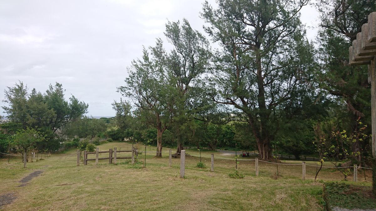 f:id:damtraveller:20201118233622j:plain