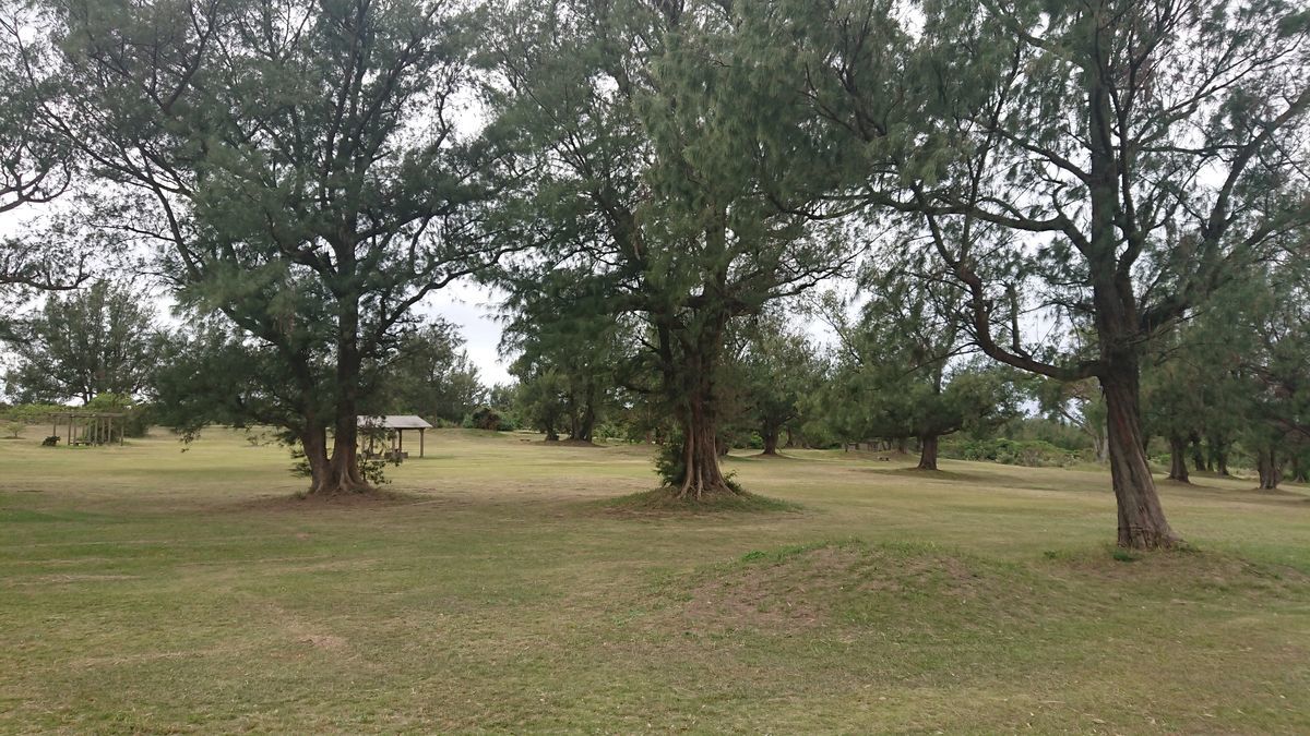 f:id:damtraveller:20201118233626j:plain