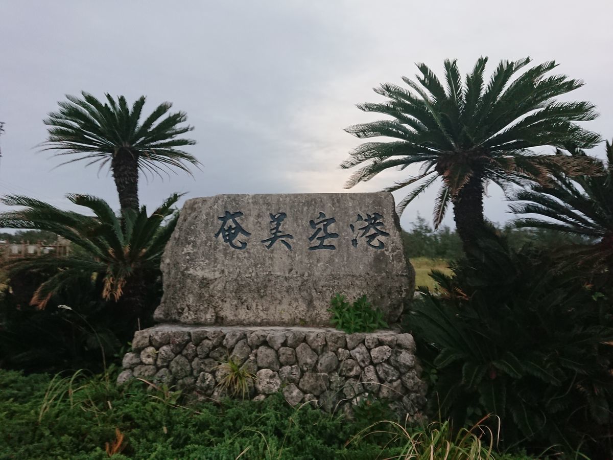 f:id:damtraveller:20201118235252j:plain