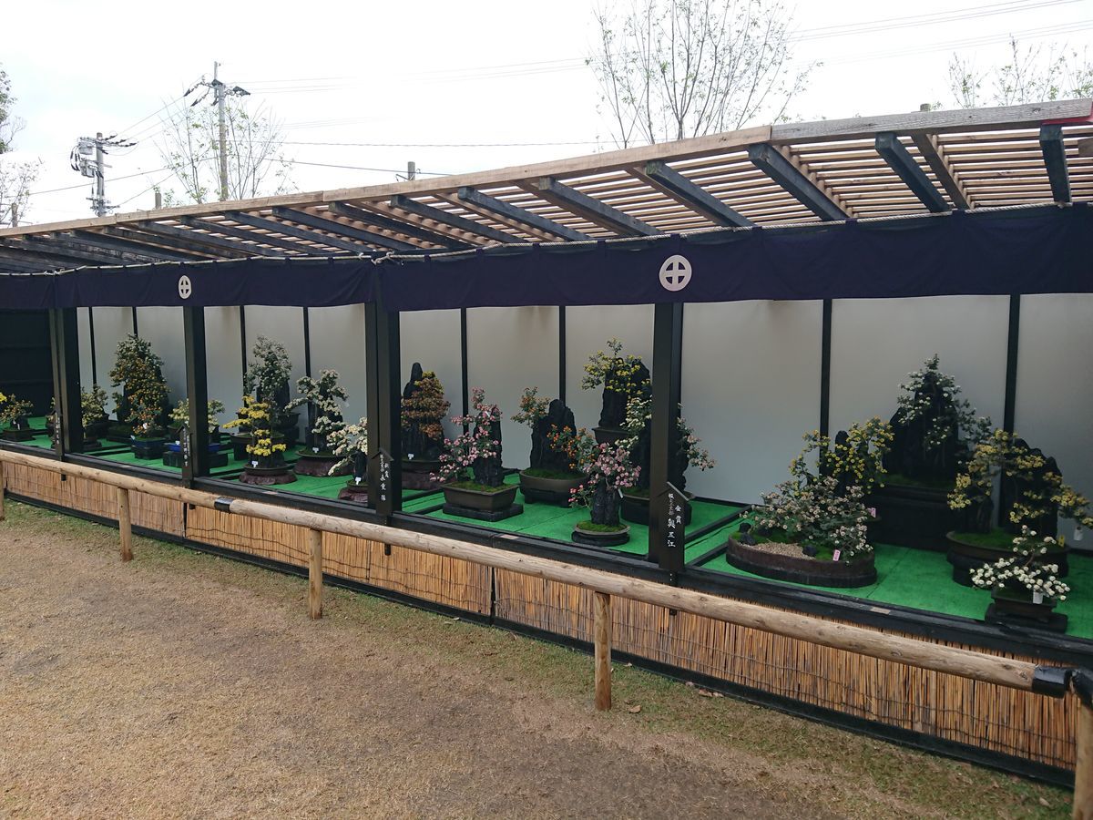 f:id:damtraveller:20201120224053j:plain